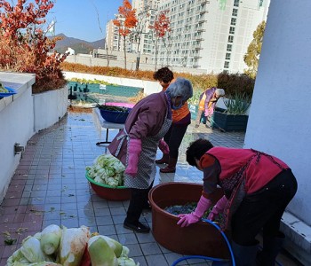 옥상텃밭 '김장하기'  진행 이미지