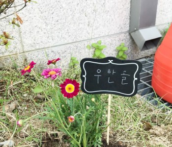 [찾아가는 청소년 자원봉사학교] 5회차 반석동성당자원봉사활동 이미지